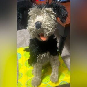 Disney’s Tramp stuffed dog Lady and the Tramp Live black grey